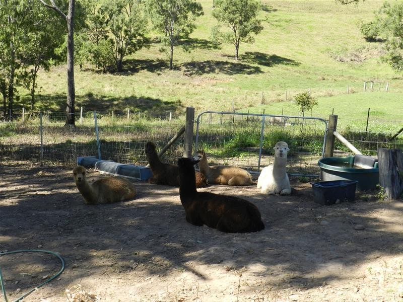 53 Muller Road, Sarina QLD 4737