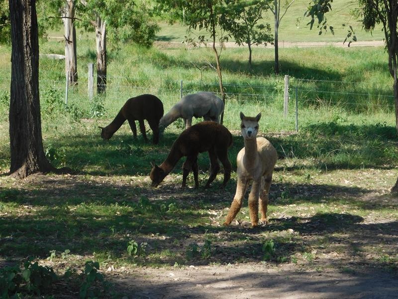 53 Muller Road, Sarina QLD 4737