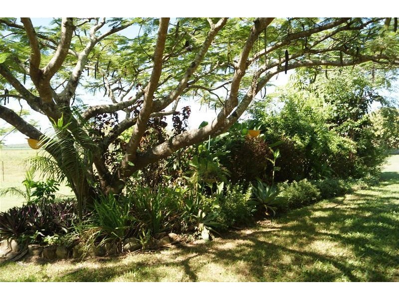 261 Armstrong Beach Road, Armstrong Beach QLD 4737