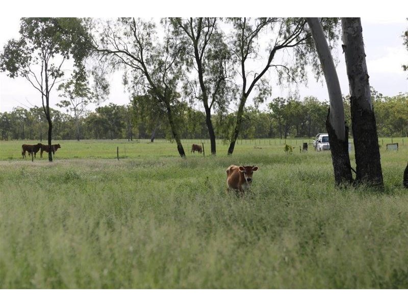 480 Airstrip Road, Nebo QLD 4742