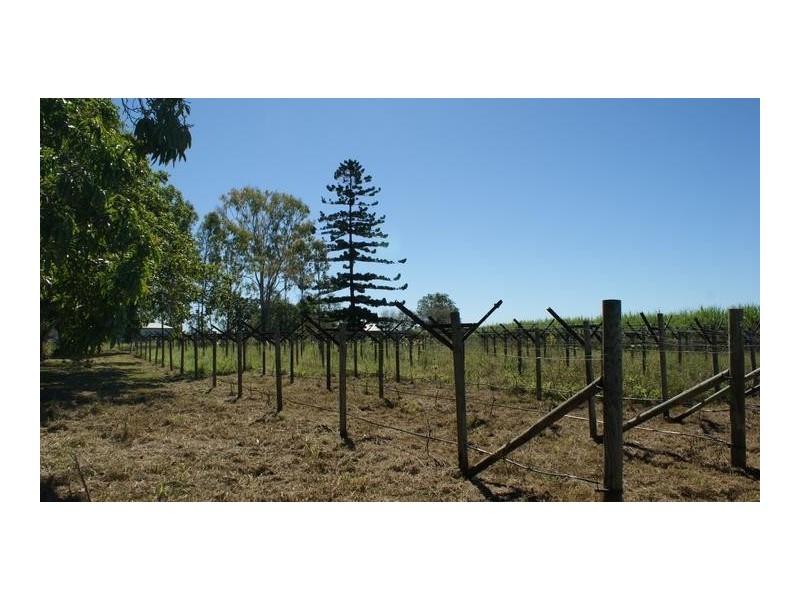 168 Koumala Bolingbroke Road, Koumala QLD 4738