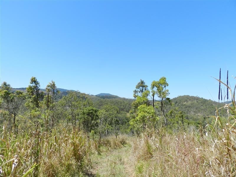 603 East Funnel Creek Road, Sarina QLD 4737