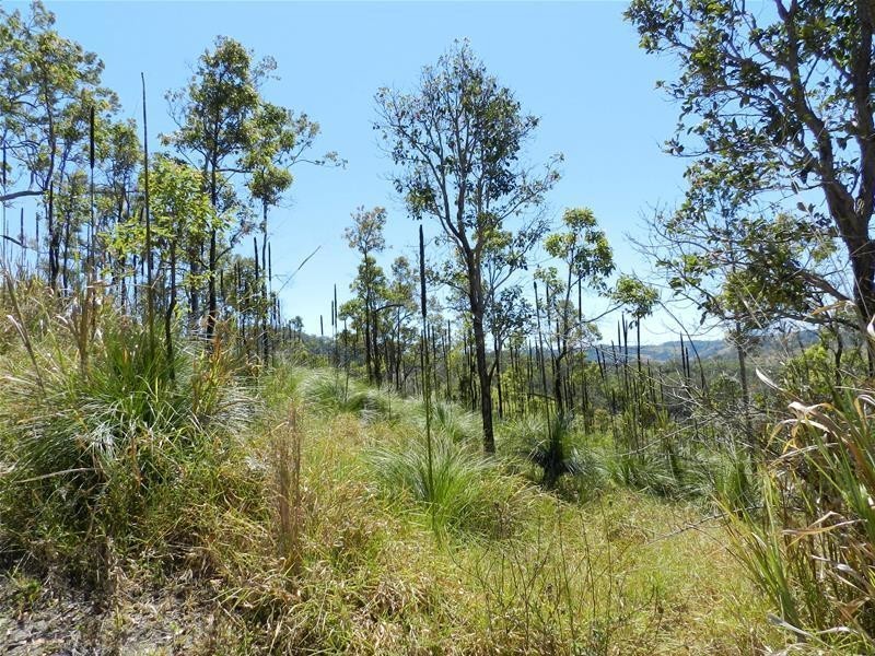 603 East Funnel Creek Road, Sarina QLD 4737