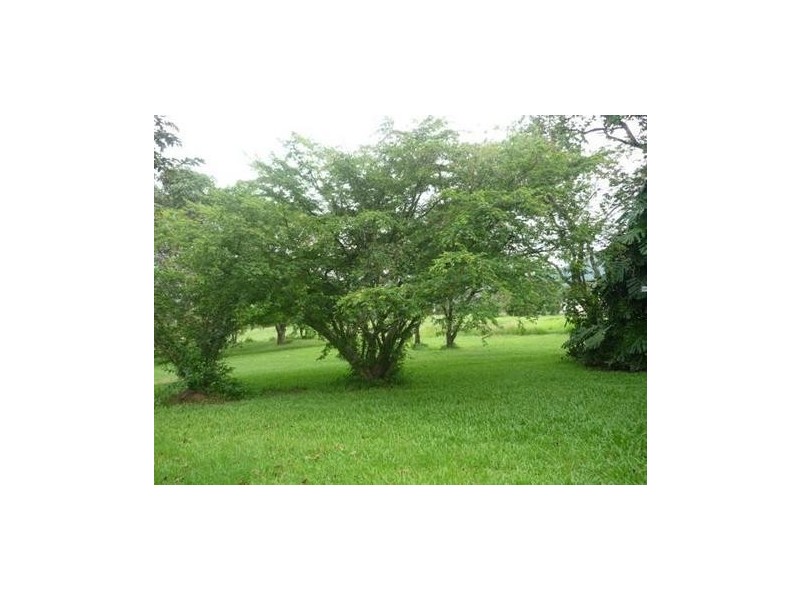 246 West Plane Creek Road, Sarina QLD 4737