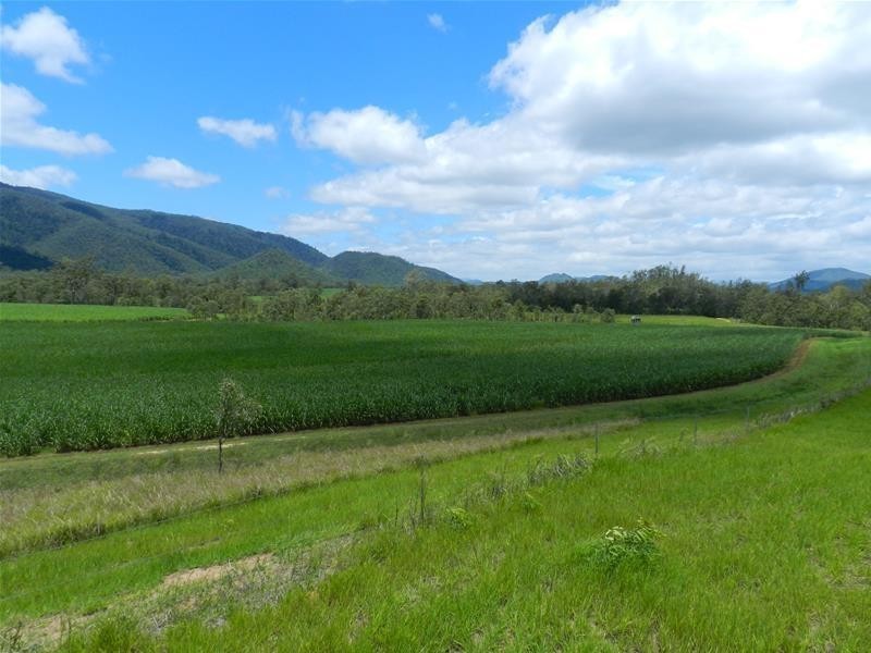 294 Pinevale Road, Mirani QLD 4754