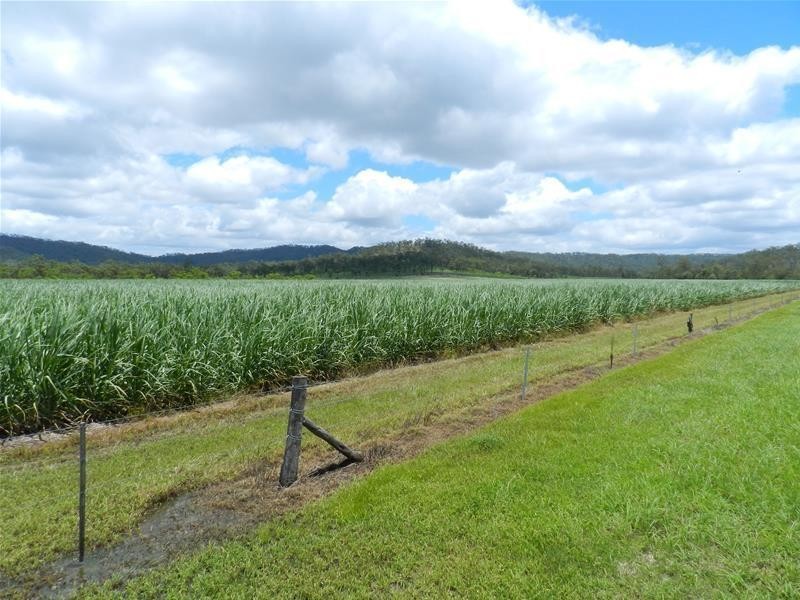 294 Pinevale Road, Mirani QLD 4754