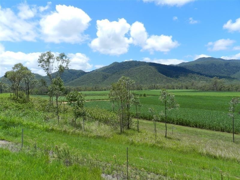 294 Pinevale Road, Mirani QLD 4754