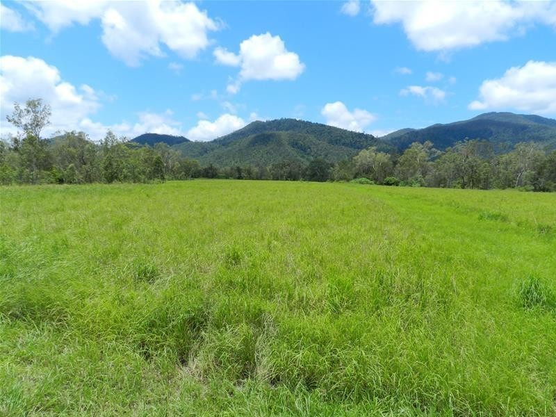 294 Pinevale Road, Mirani QLD 4754