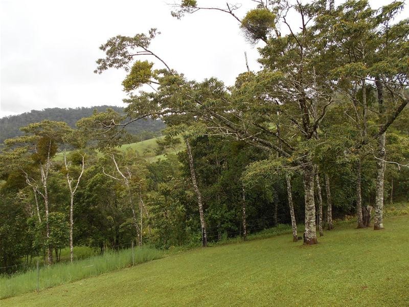 95 Cummings Street, Eungella QLD 4757