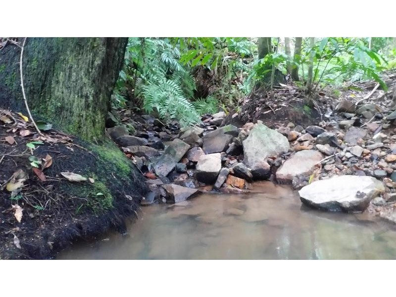 95 Cummings Street, Eungella QLD 4757