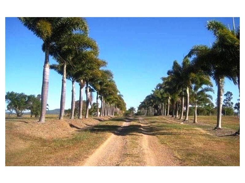 89 Diggings Road, Alligator Creek QLD 4740