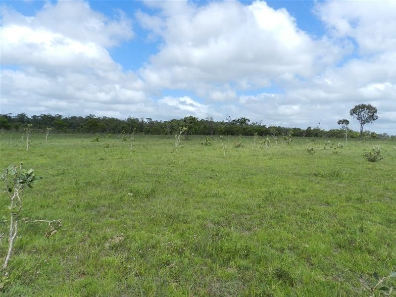 205 Ilbilbie Road, Ilbilbie QLD 4738