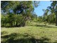 Lot 5, Lot 5 Koumala-Bolingbroke Road, Koumala QLD 4738