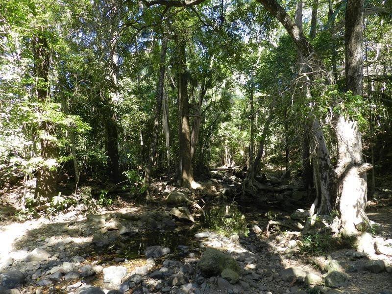 Lot 5, Lot 5 Koumala-Bolingbroke Road, Koumala QLD 4738