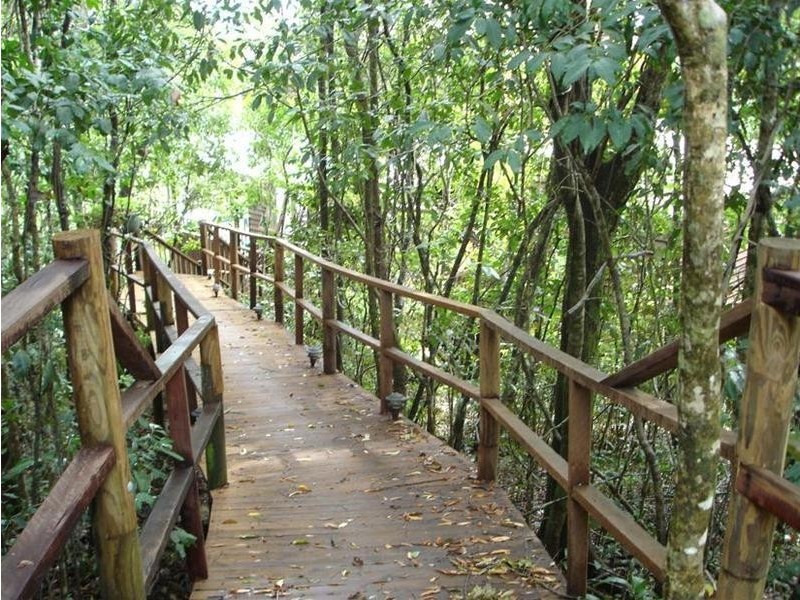 102 Camille Drive, Strathdickie QLD 4800