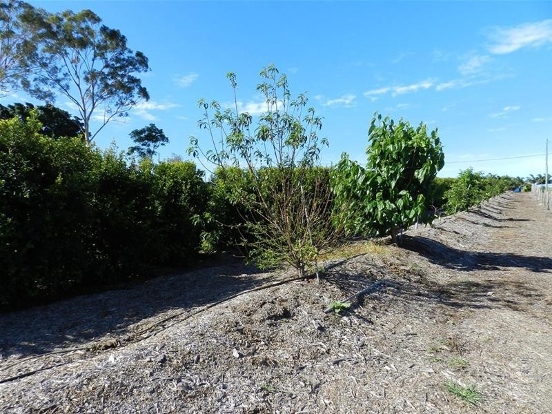 930 Grasstree Road, Sarina Beach QLD 4737