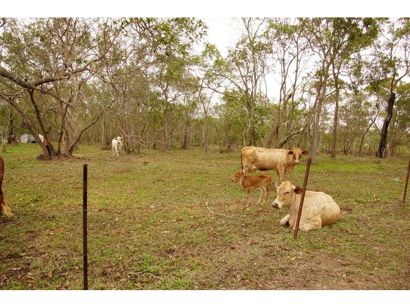 174 Ilbilbie Road, Ilbilbie QLD 4738