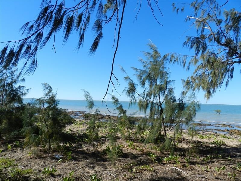 85 Colonial Drive, Clairview QLD 4741