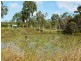 779 Greenhill Road, Ilbilbie QLD 4738