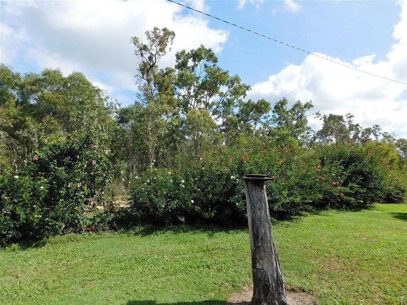 779 Greenhill Road, Ilbilbie QLD 4738