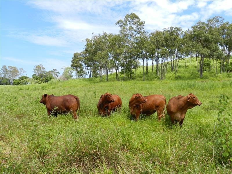 687 Grasstree Road, Grasstree Beach QLD 4740