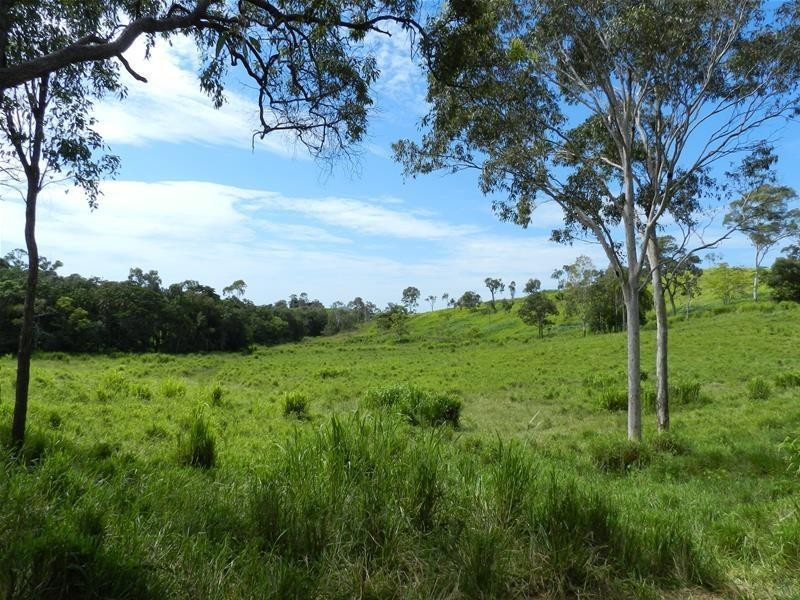 687 Grasstree Road, Grasstree Beach QLD 4740