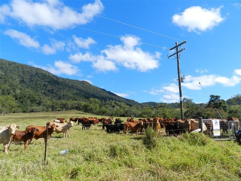 655 Middle Creek Road, Sarina QLD 4737