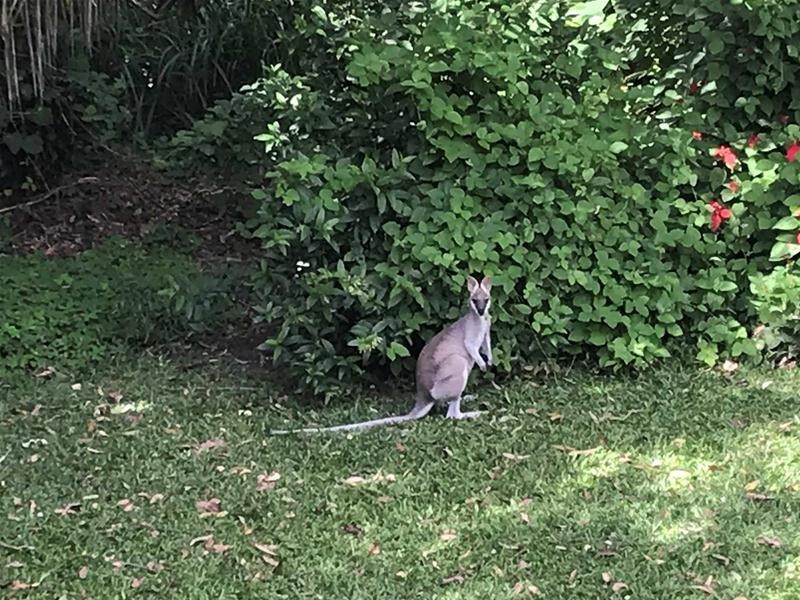 418 Marlborough Sarina Road, Sarina QLD 4737