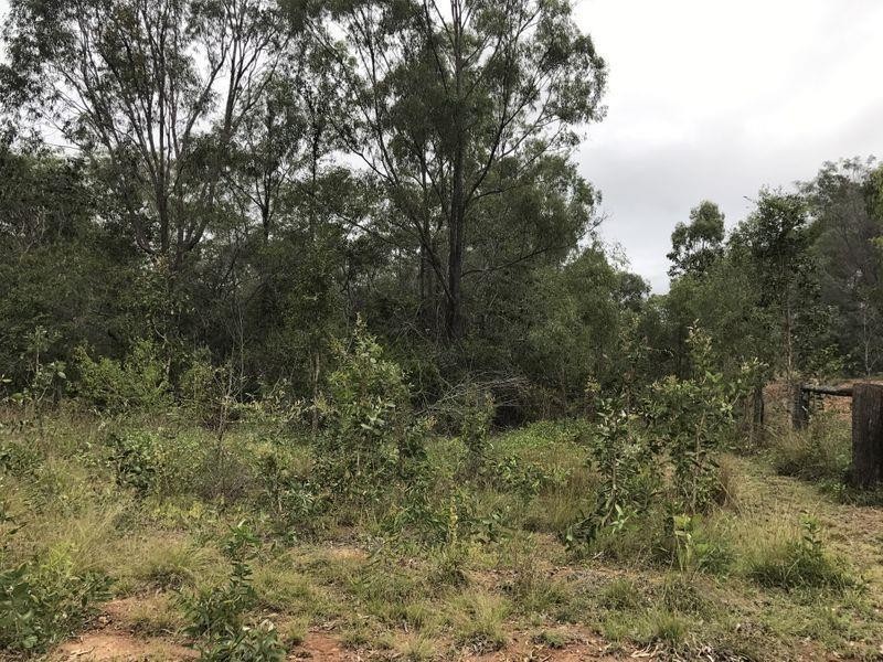 Lot 17 Settlement Road, St Lawrence QLD 4707