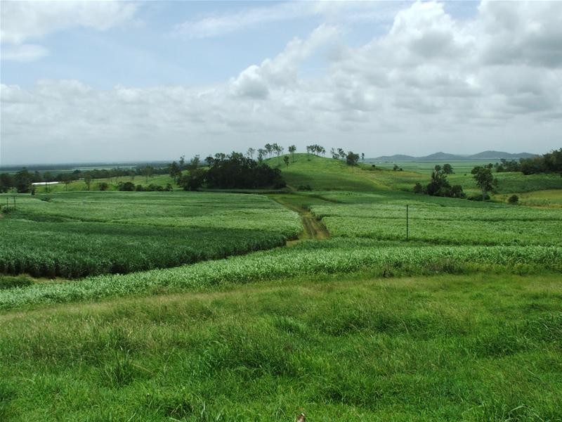 Whitakers Road, Sarina QLD 4737