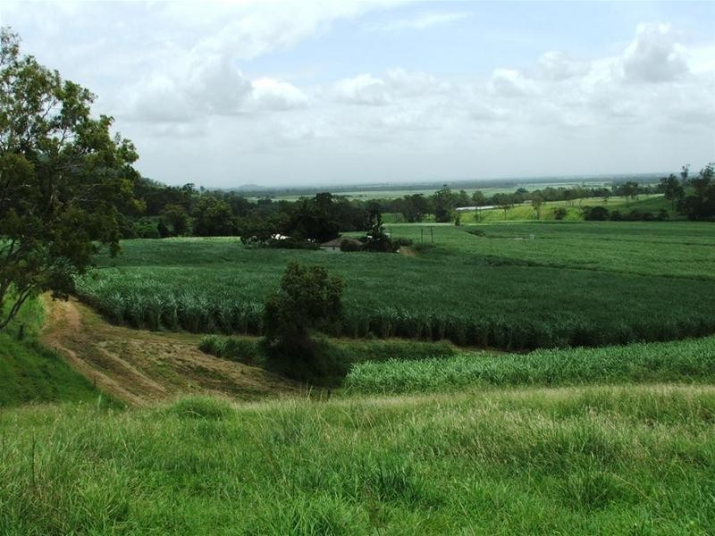 Whitakers Road, Sarina QLD 4737