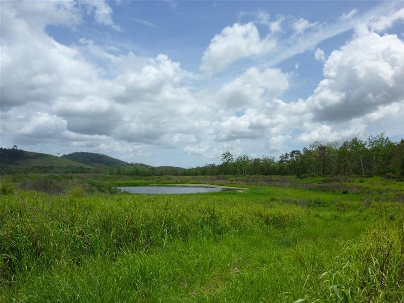 31 Sichter Road, Sarina QLD 4737