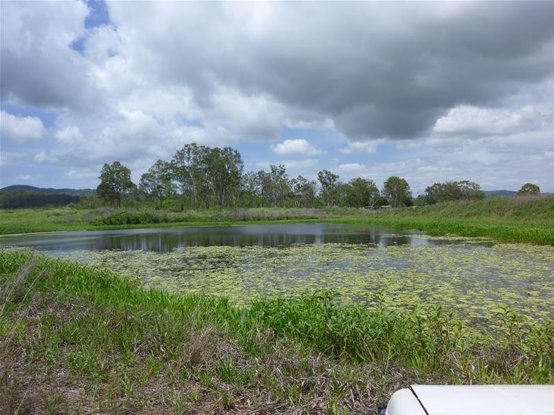 31 Sichter Road, Sarina QLD 4737