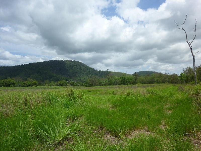 31 Sichter Road, Sarina QLD 4737