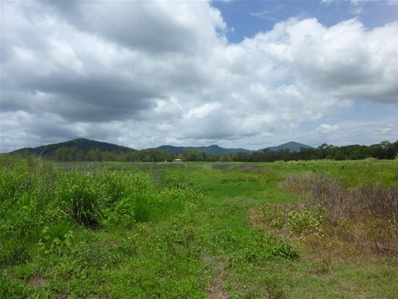 31 Sichter Road, Sarina QLD 4737