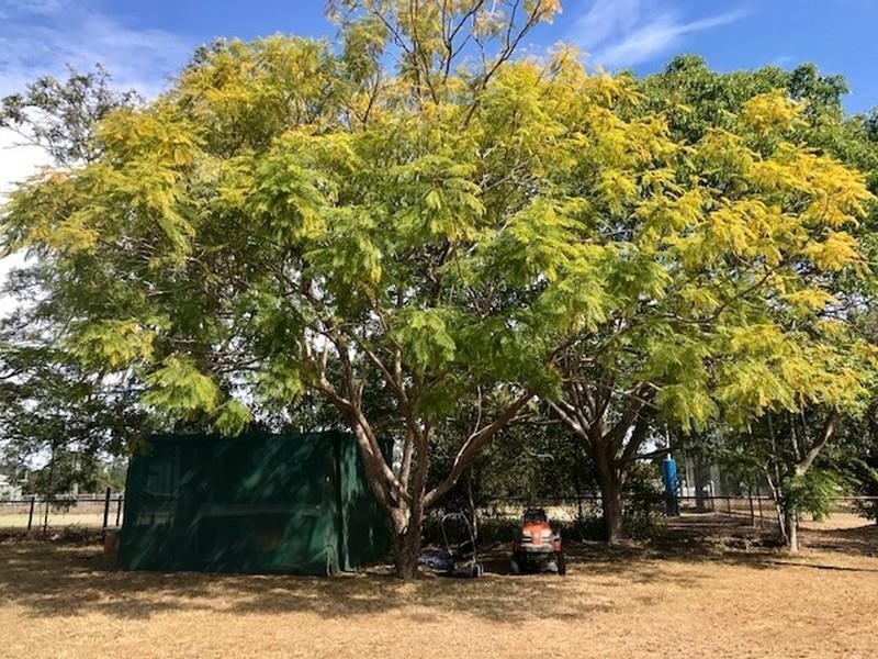 5 Waverley Street, St Lawrence QLD 4707