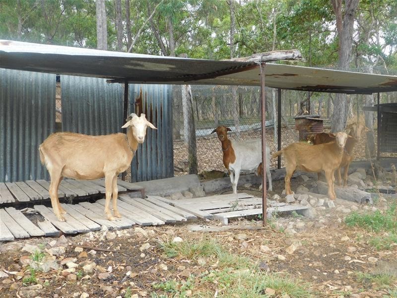 30 Howland Road, Ilbilbie QLD 4738