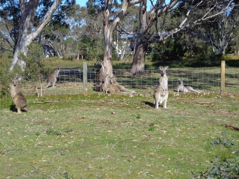 24 Davies Street, Loch Sport VIC 3851