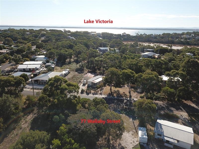 77 Wallaby Street, Loch Sport VIC 3851