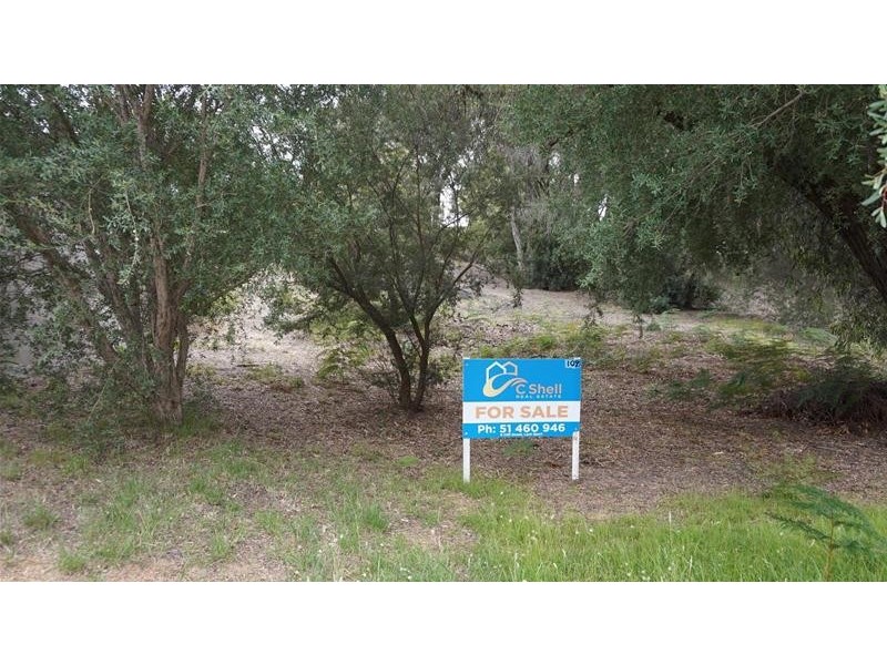 109 Toorak Avenue, Loch Sport VIC 3851