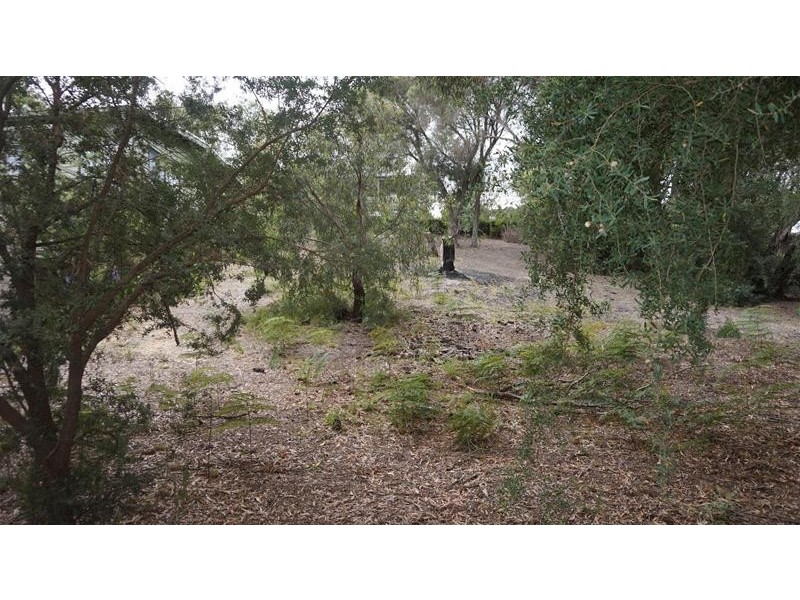 109 Toorak Avenue, Loch Sport VIC 3851