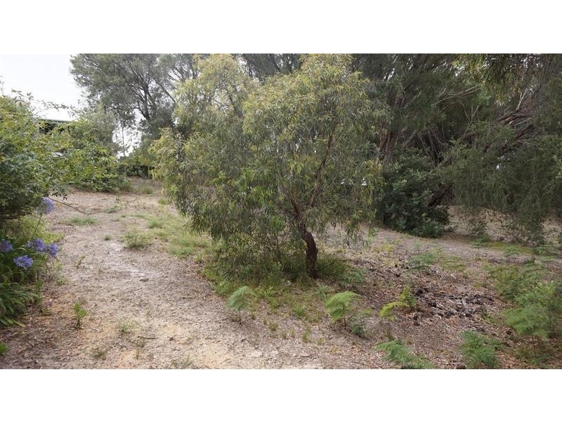 109 Toorak Avenue, Loch Sport VIC 3851