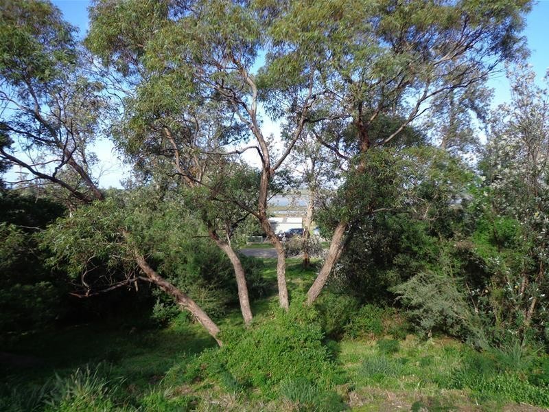 88 Wallaby Street, Loch Sport VIC 3851