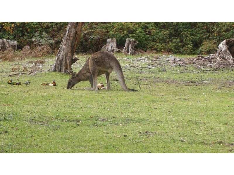 293 National Park Road, Loch Sport VIC 3851