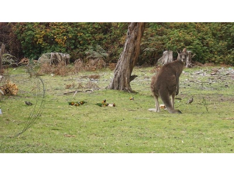 293 National Park Road, Loch Sport VIC 3851