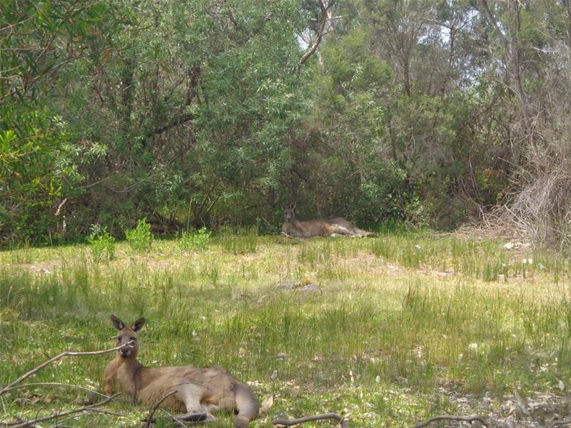 6 Sanctuary Road, Loch Sport VIC 3851