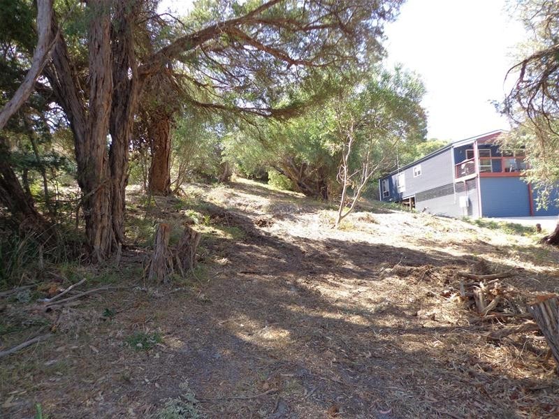 141 Toorak Avenue, Loch Sport VIC 3851