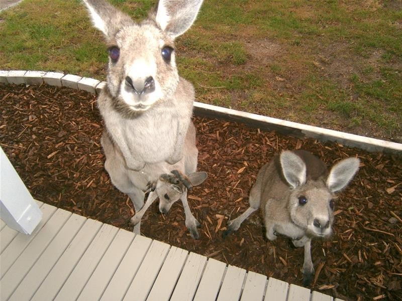 300 National Park Road, Loch Sport VIC 3851