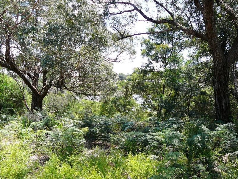 39 Goodlett Avenue, Loch Sport VIC 3851