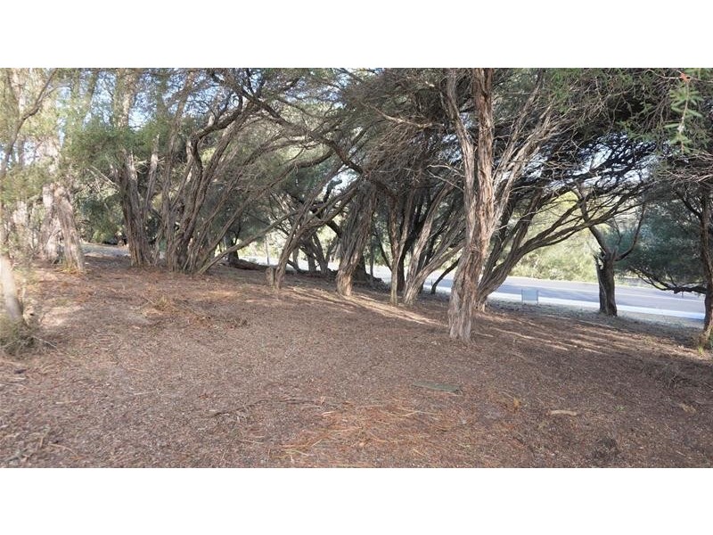 217 National Park Road, Loch Sport VIC 3851